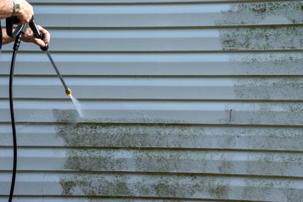 Shed Removal in Meridian, ID