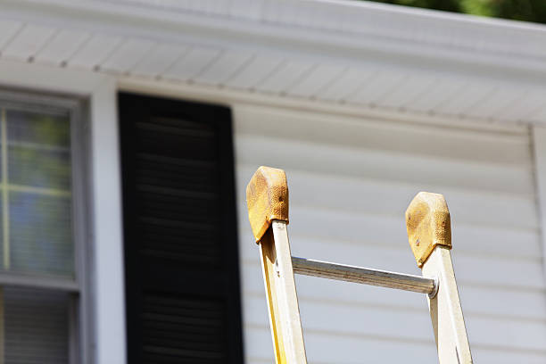 Best Demolition Debris Removal  in Merian, ID